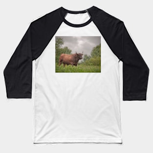 The bull Baseball T-Shirt